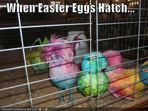 funny-pictures-adult-humor-easter-i5