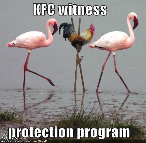 funny-pictures-kfc-chicken-stilts-flamingos