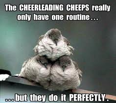 images cheerleading birds