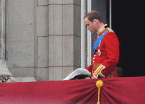 friday-gif-selection