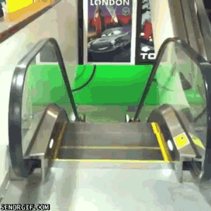 funny-gifs-rising-to-the-top1