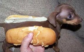 hot dog
