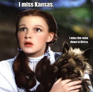 Dorothy-Toto
