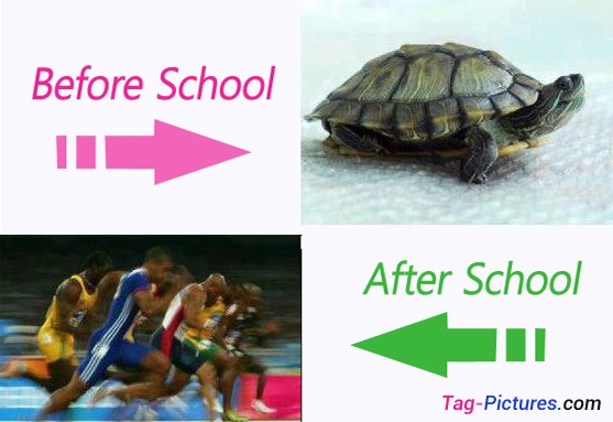 funny-scraps-on-school-students