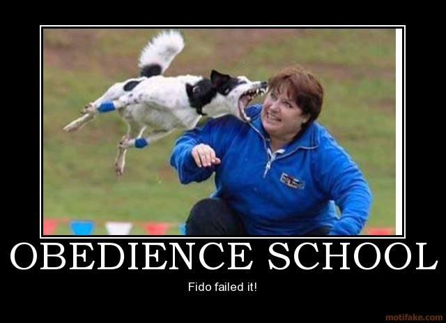 obedience-school-humor-funny-sex-texas-boner-obama-demotivational-poster-1210956625
