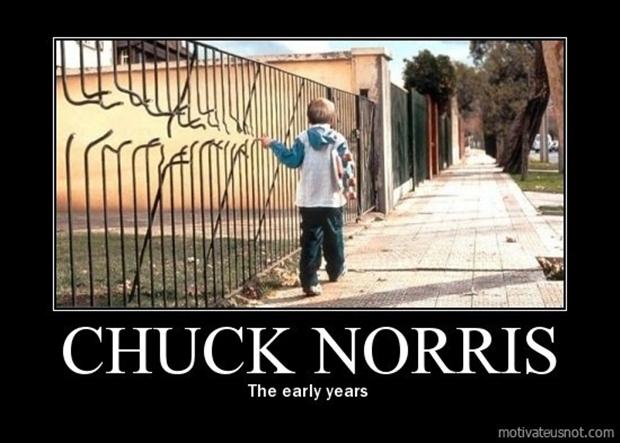 demotivational posters, chuck norris - Dump A Day
