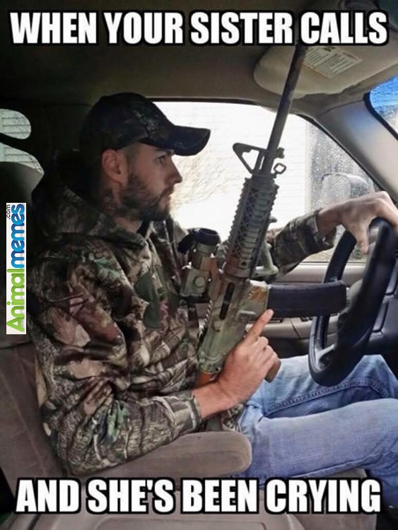 funny-memes-always-be-there-for-your-sister