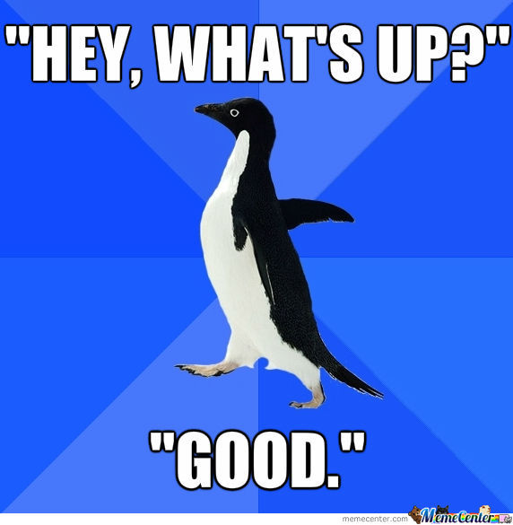 socially-awkward-penguin_o_1016201