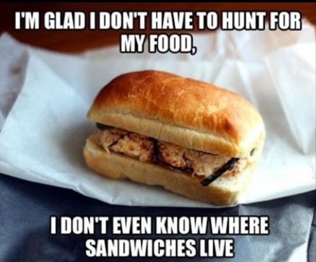 funny-memes-hunt-for-my-food